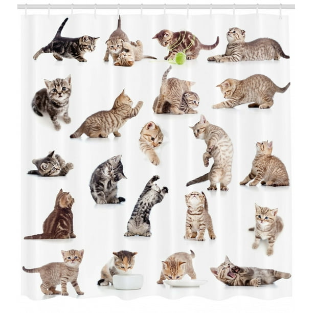 Cat Shower Curtain Funny Playful Cats Image Print for Bathroom